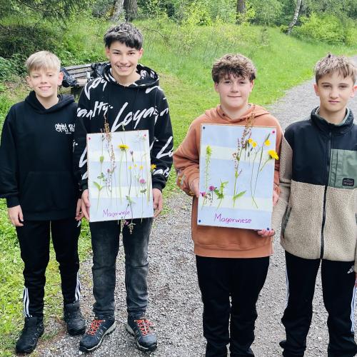 Kräuter3