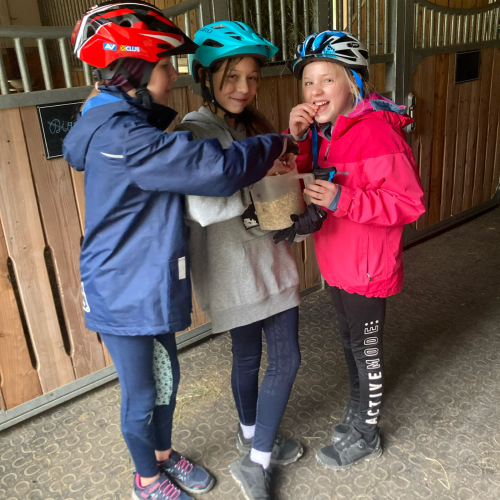 Reiten a