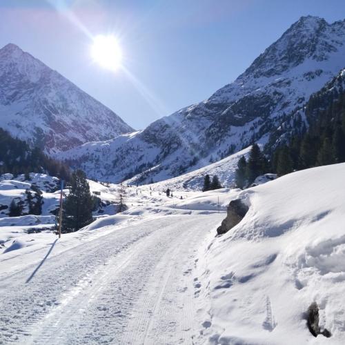 winter11