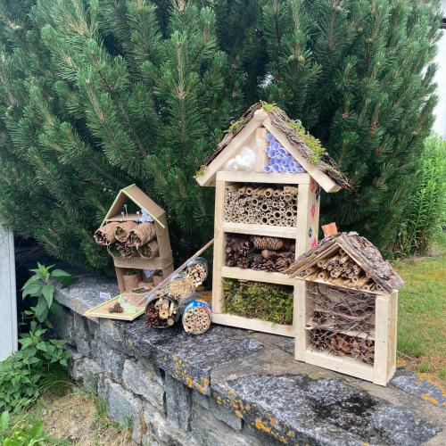 insekten8