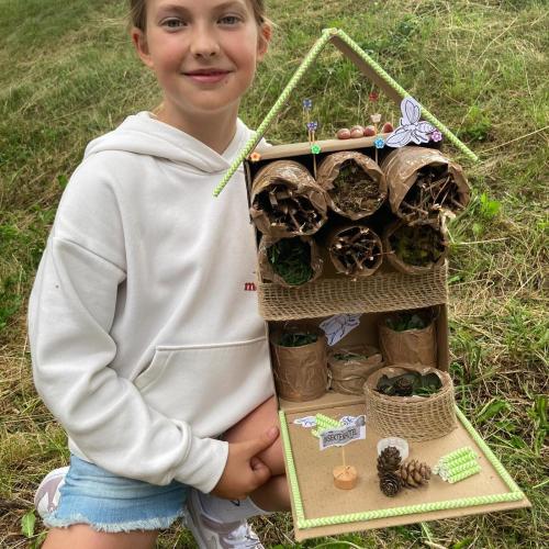 insekten9
