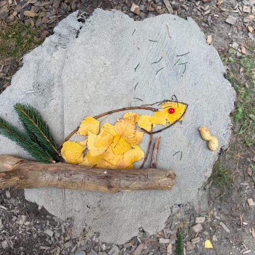 Natur10