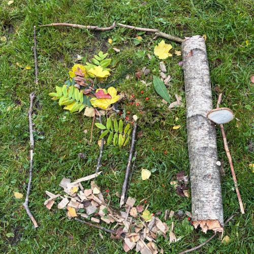 Natur6