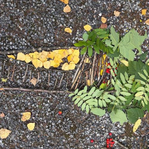 Natur7