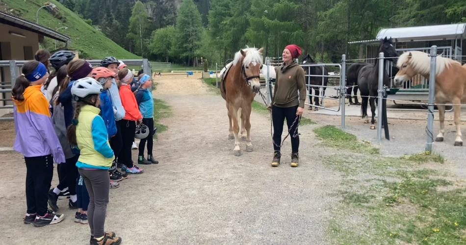 Reiten d