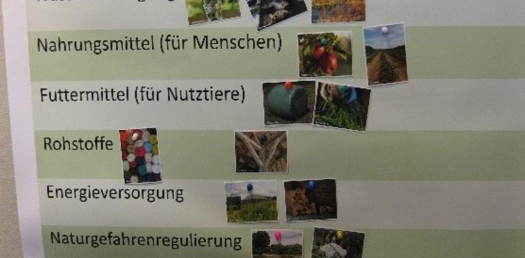 Alpine Forschung 1 1920