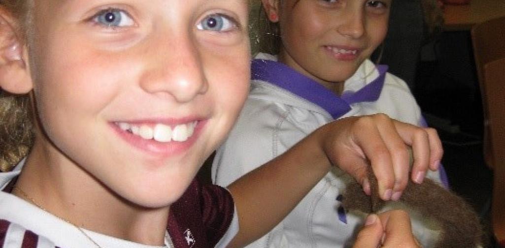 Alpine Forschung 5 1920